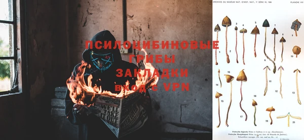 соль ск Алексеевка