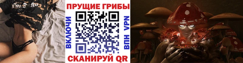 купить наркотик  Железноводск  Псилоцибиновые грибы MAGIC MUSHROOMS 