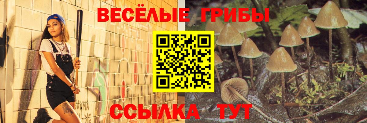 Галлюциногенные грибы мухоморы Железноводск